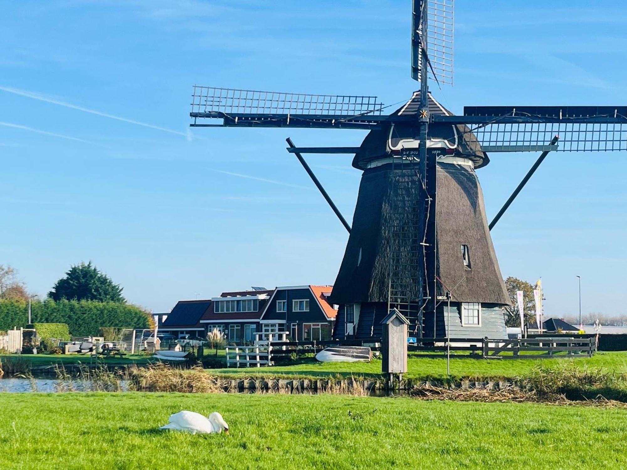 Millsight Bed & Breakfast Uitgeest Bagian luar foto