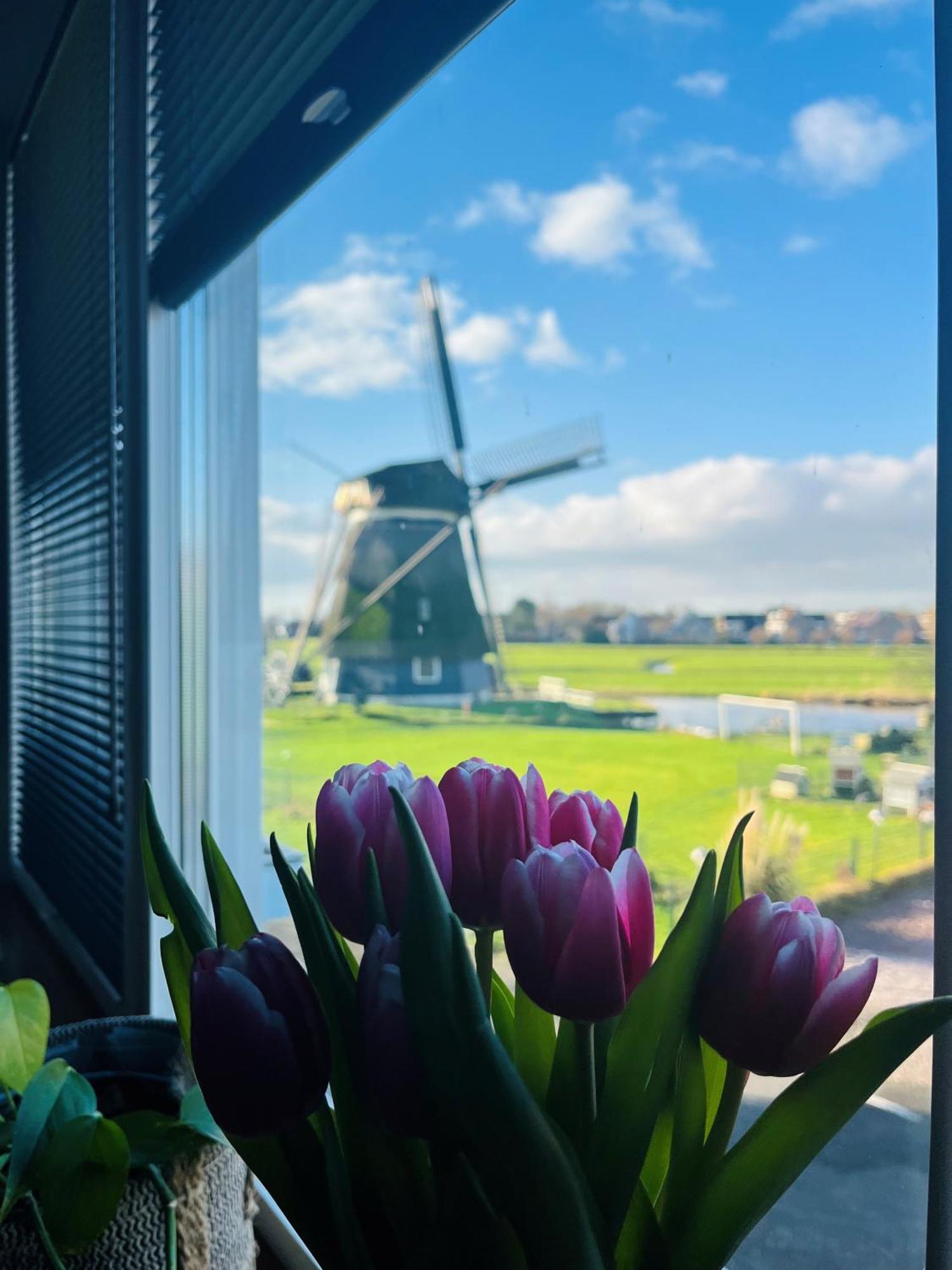 Millsight Bed & Breakfast Uitgeest Bagian luar foto